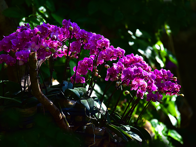 微信圖片_20220113105215 微信圖片_20220113105215