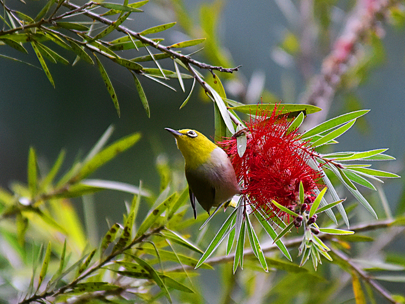 微信圖片_20220310173359