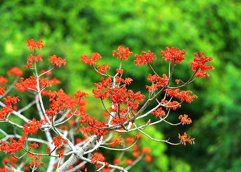 微信圖片_20220505172531