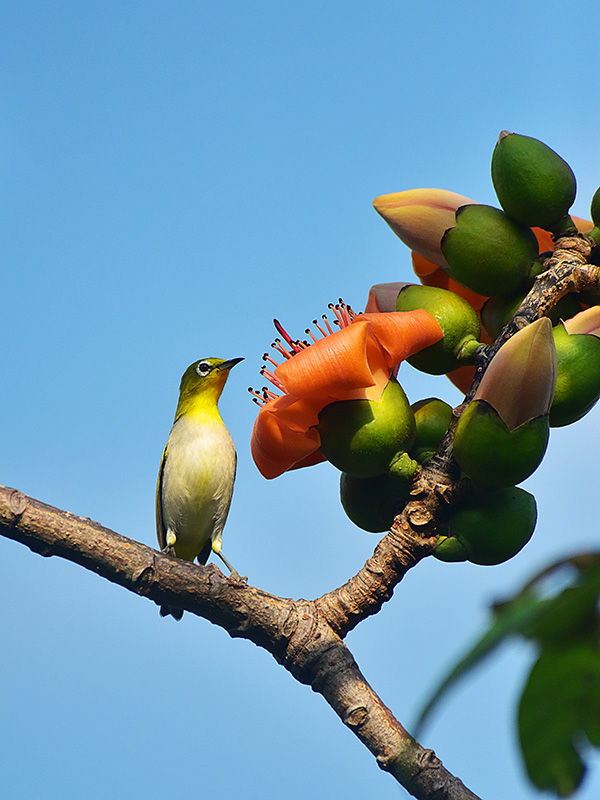 微信圖片_20230220153621