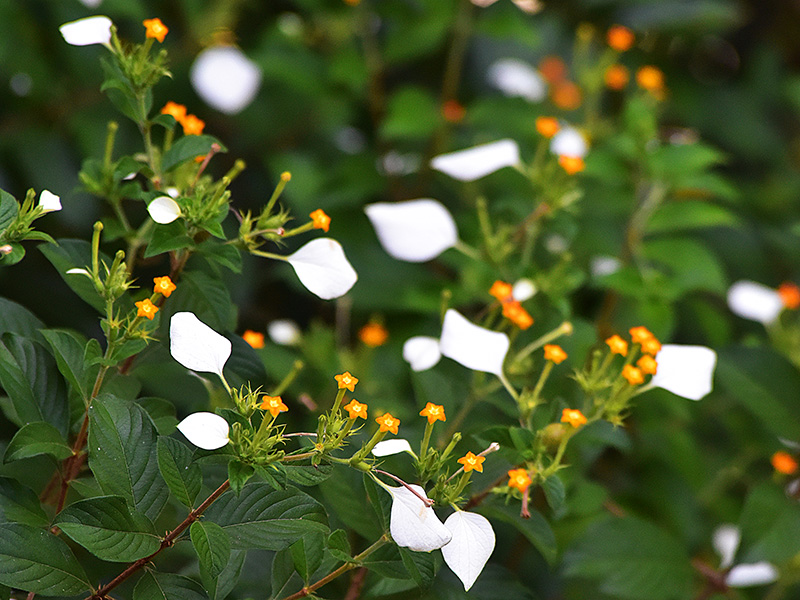 微信圖片_20230228191915