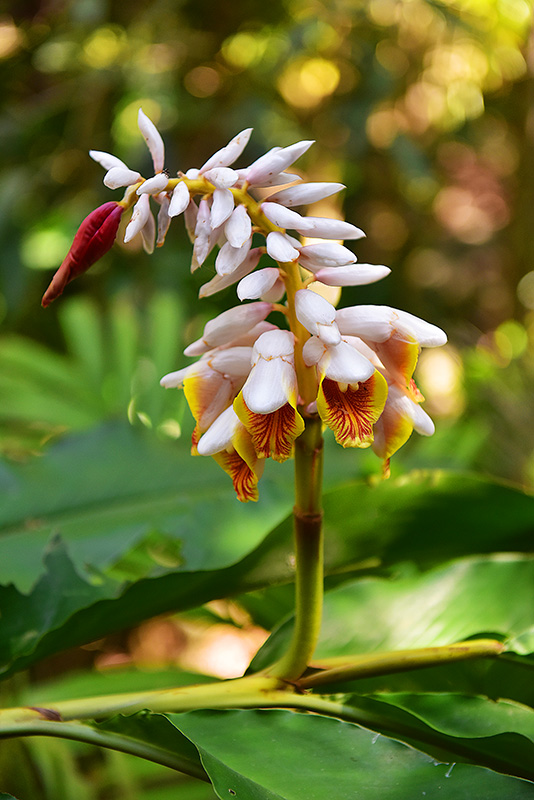 微信圖片_20230228191815