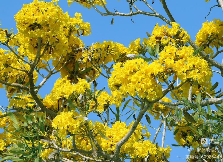 微信圖片_20230313091434