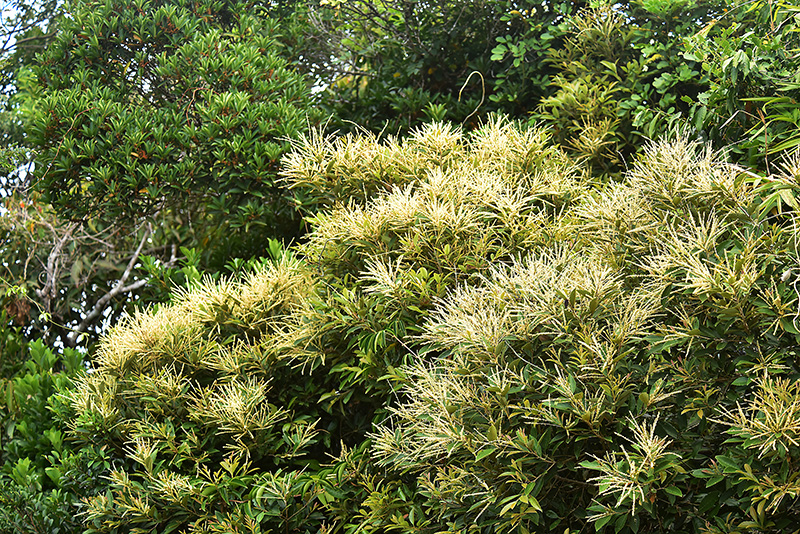 微信圖片_20230324182233