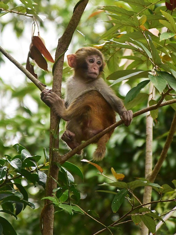 20230403100058_16936