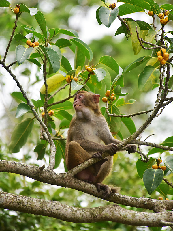 20230403100121_25945