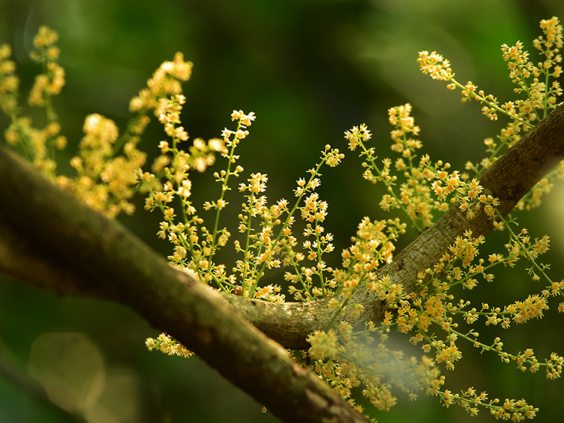 微信圖片_20230419165206