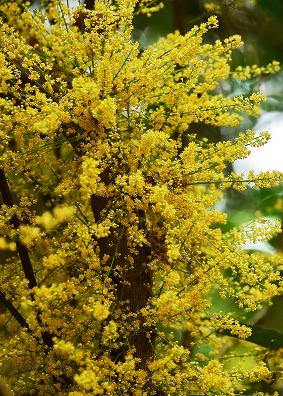 微信圖片_20230419165248