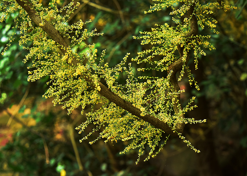 微信圖片_20230419165144