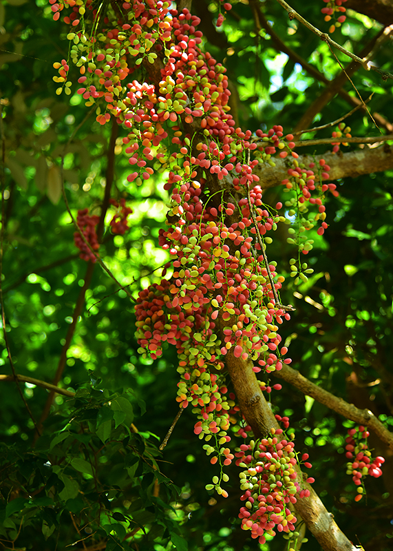 20230606154129_50461