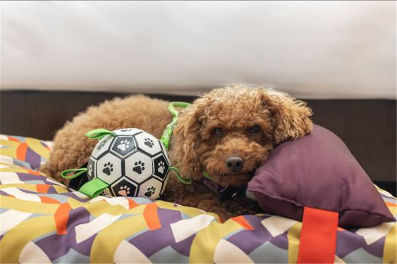 微信圖片_20230829165143_1