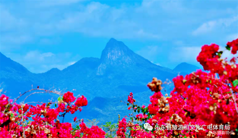 微信圖片_20240220173656