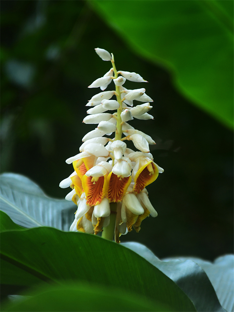 20240227171728_44259