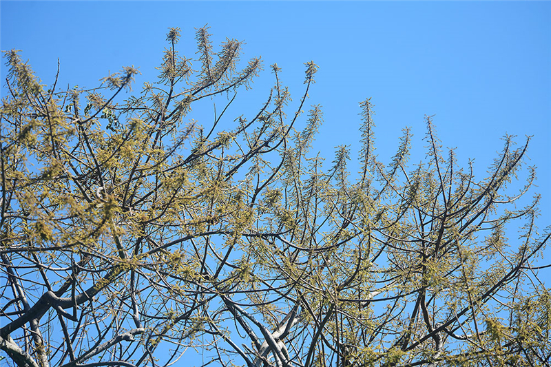 20240227171830_74646