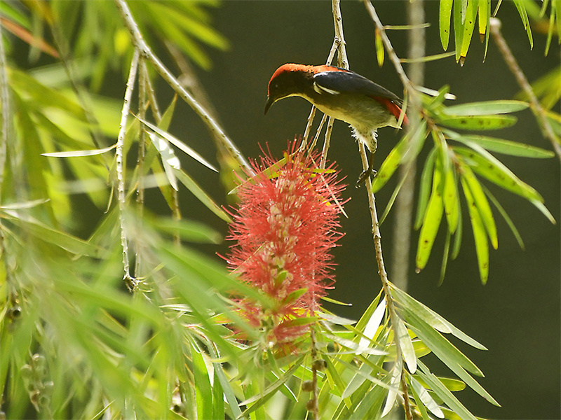 20240313220516_65538