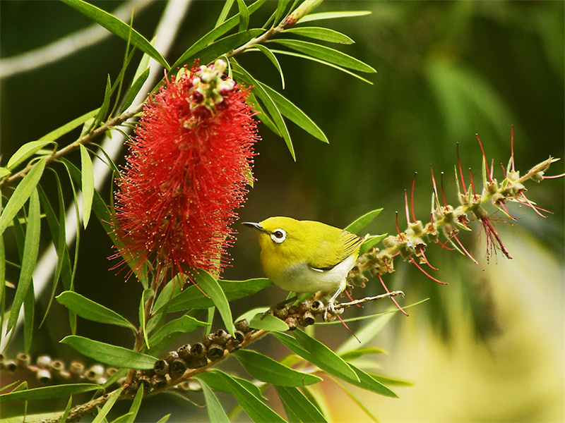 20240313220126_11496