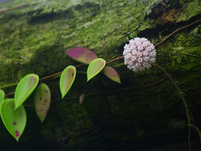 20240612232106_19559