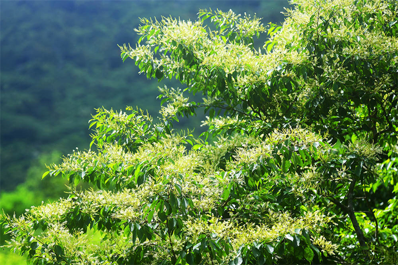 20240612232052_73317