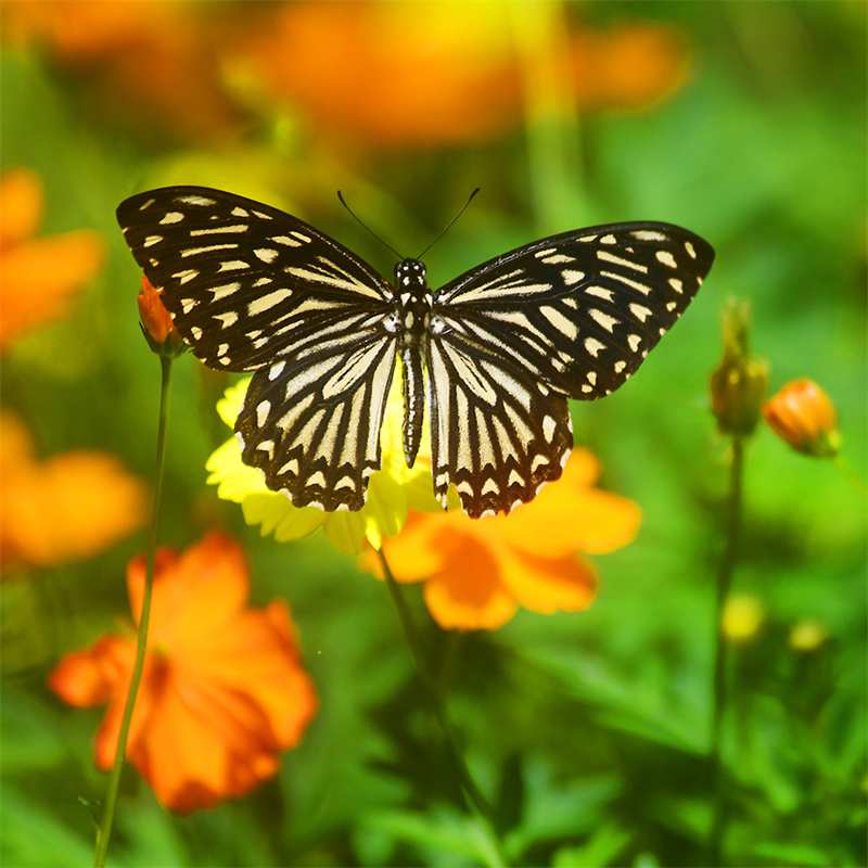 20240815164911_85547