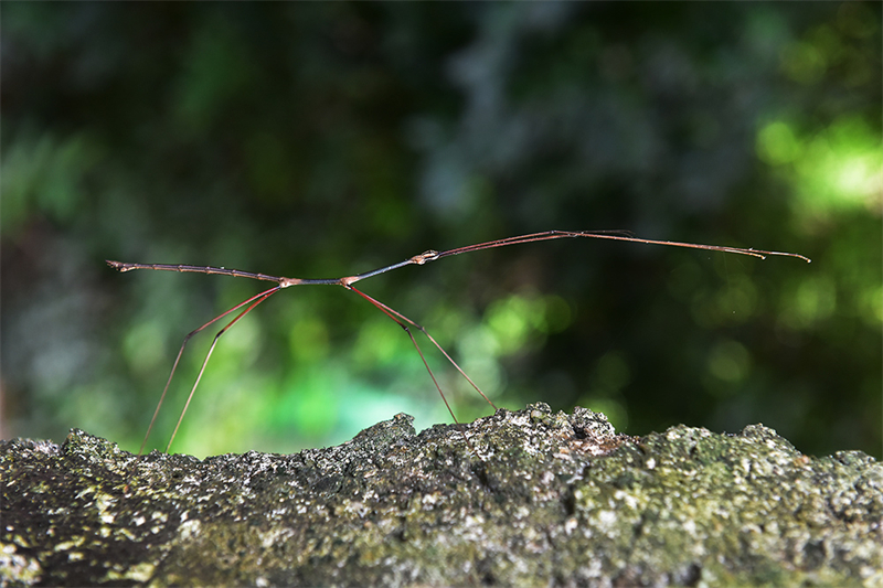 20240815164949_74322