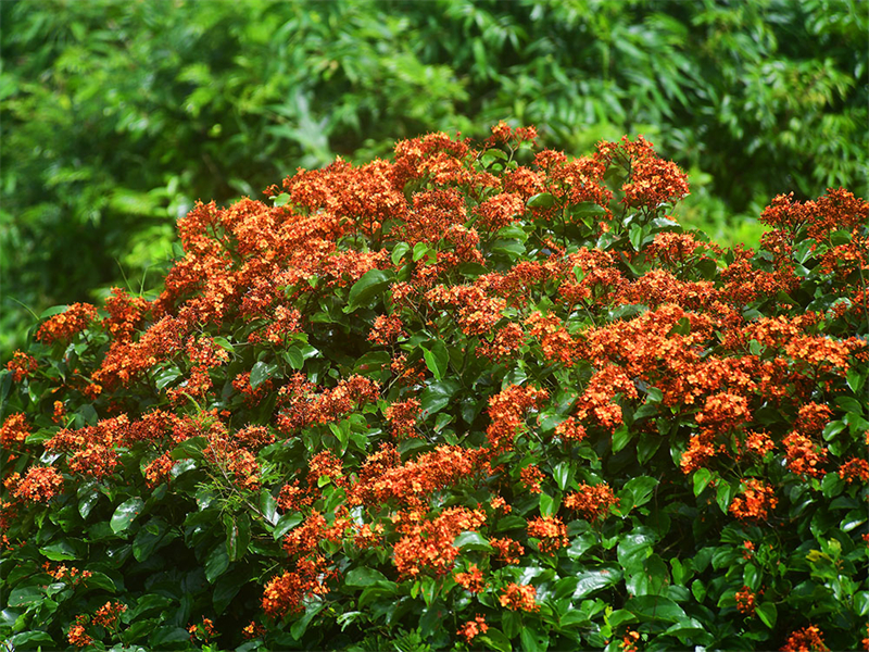 20240826165344_66254 20240826165344_66254