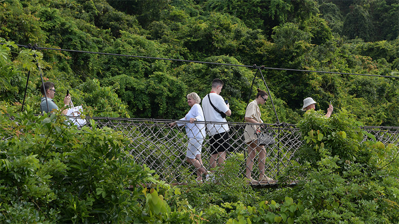 20241022232559_74143