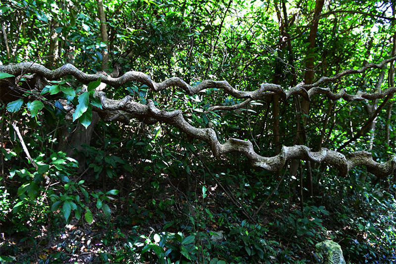 20241218221919_63377 20241218221919_63377