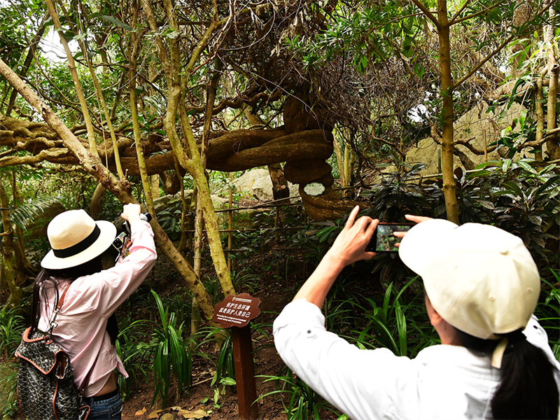 20241218222023_23184 20241218222023_23184