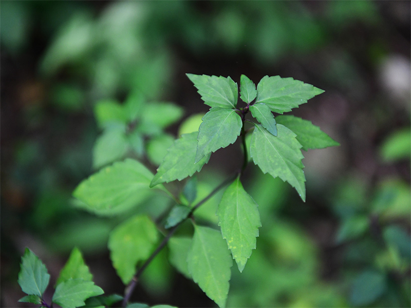 20241231165310_36970