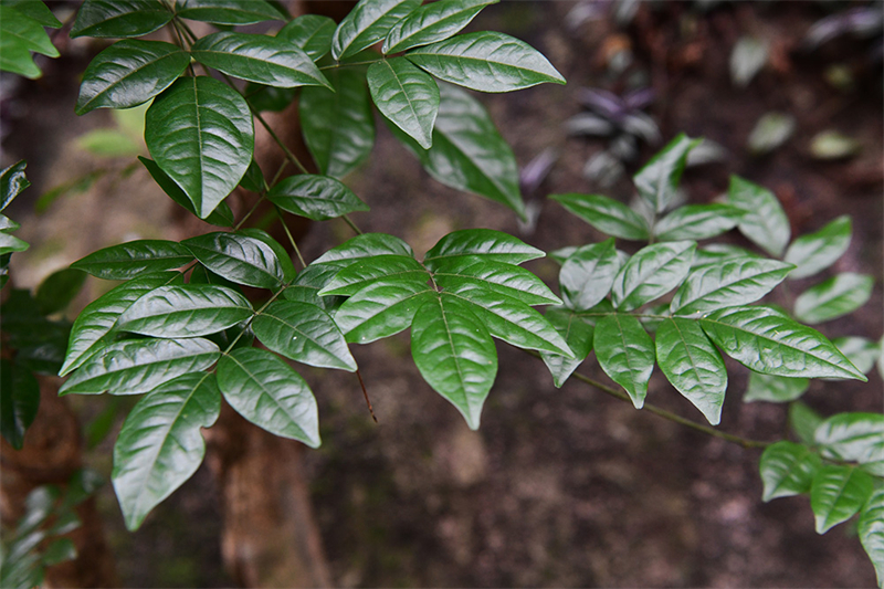 20241231164721_12572