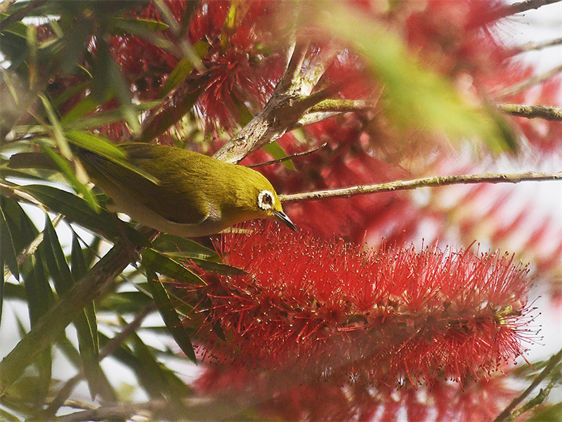 20250305211110_82412 20250305211110_82412