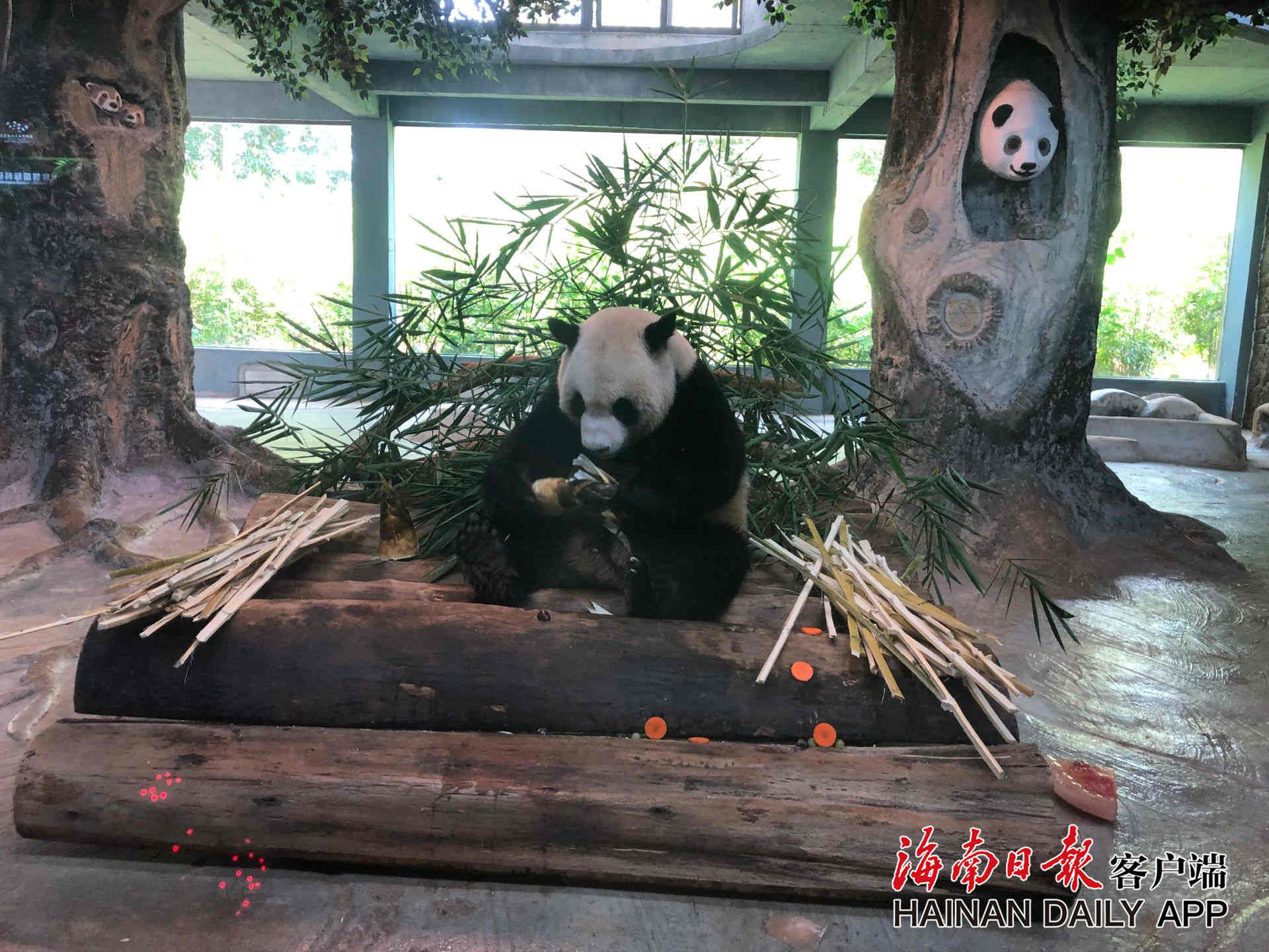 1556456231664887.jpg 22_副本.jpg