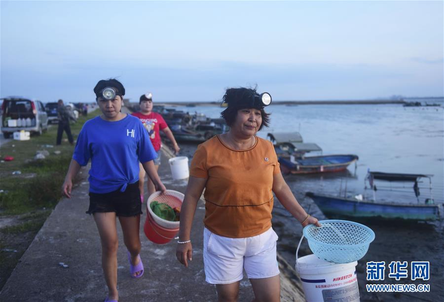 #（社會）（5）海南瓊海：趕海拾貝